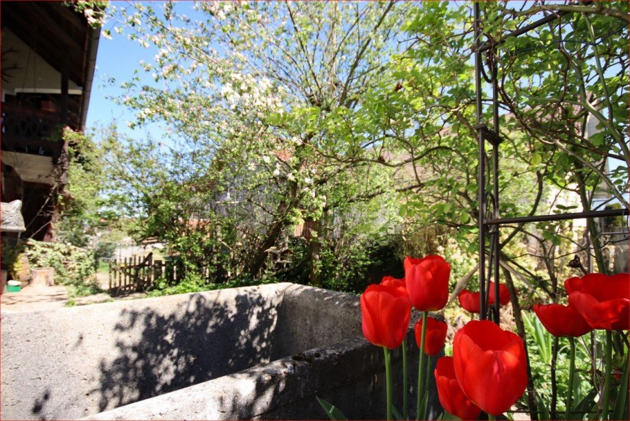 Fr�hling im Garten Bauernhaus Bidingen