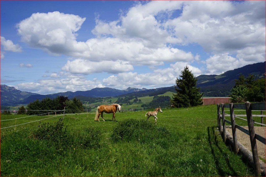 Nachbarfl�chen Zweifamilienhaus Fischen im Allg�u / Maderhalm